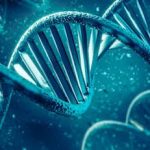 DNA का नया अध्याय खुला: वैज्ञानिकों ने जीवन की समझ में जोड़ी बड़ी कड़ी