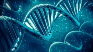 Read more about the article DNA का नया अध्याय खुला: वैज्ञानिकों ने जीवन की समझ में जोड़ी बड़ी कड़ी